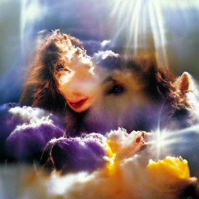 Kate Bush hounds of love