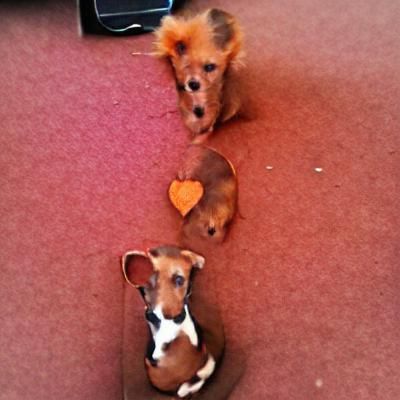 Penny n Chester