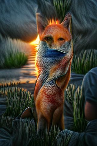 fox sunset photorealism