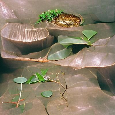 habitat
