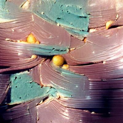 Surface of uranus