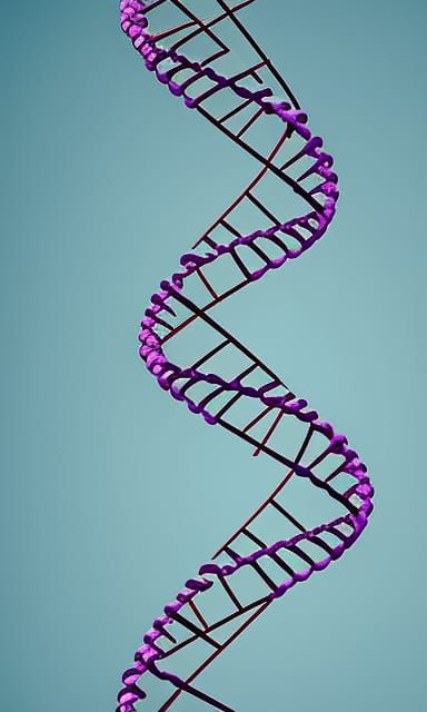 Ladder of the Self