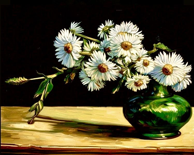 Shasta daisies