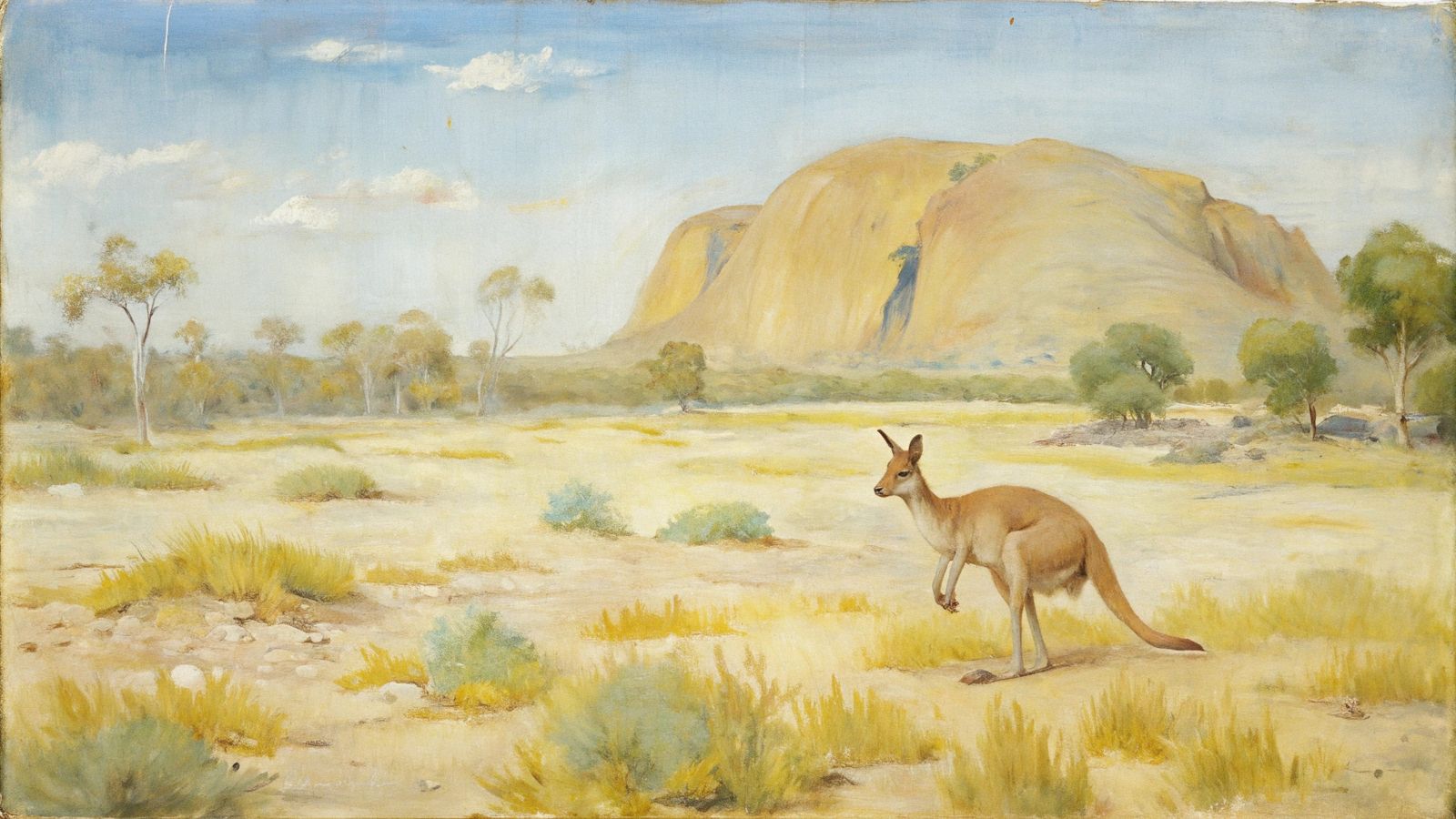 Australian desert, lonely kangaroo