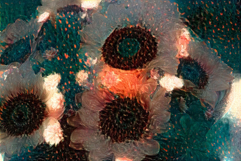 Another of Sunflowers