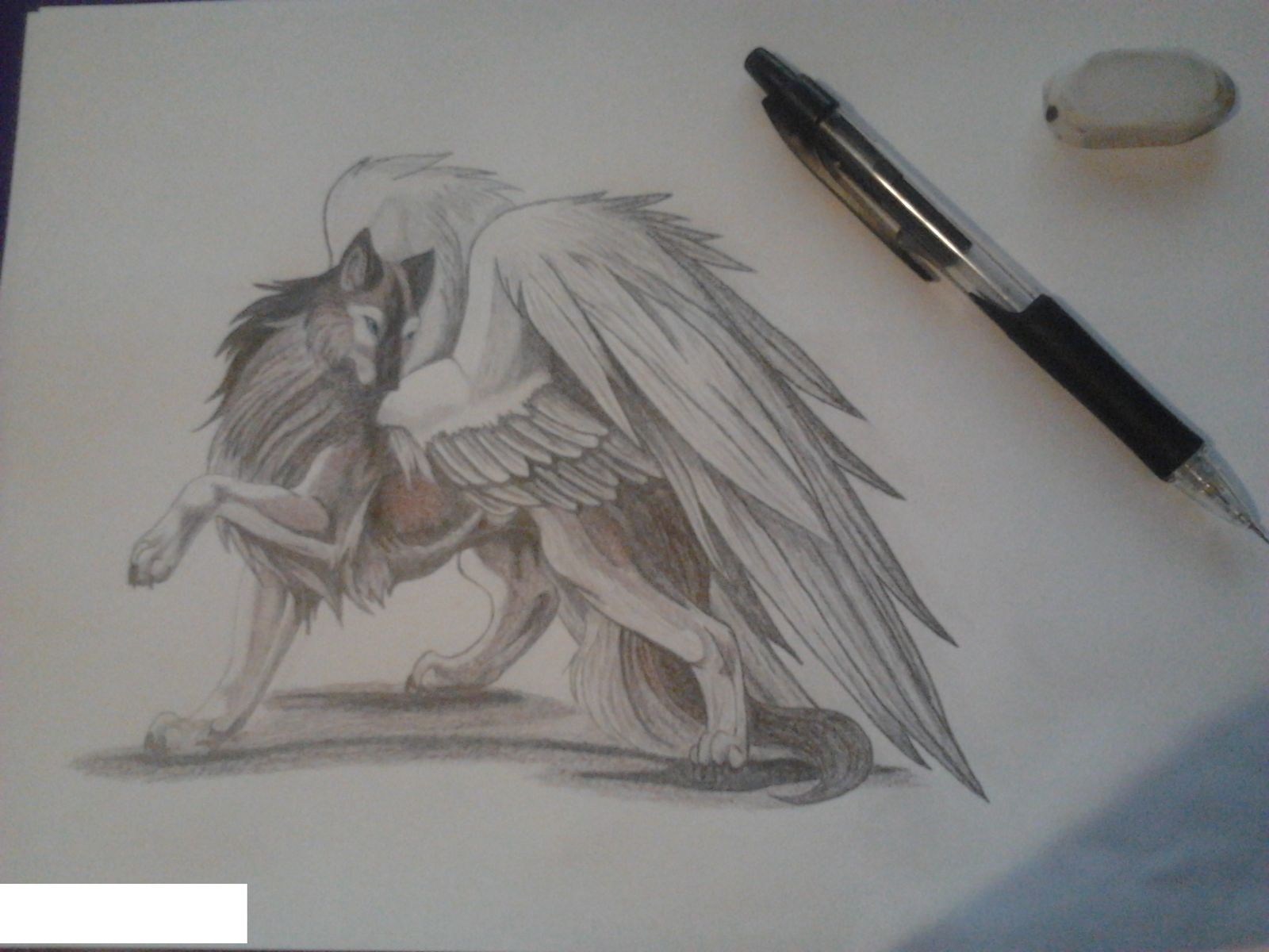 Drawing of a Wolf with wings, (teenager years))
