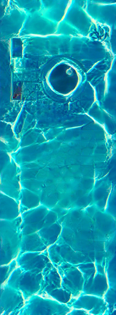 There's a hidden creature in this artwork!