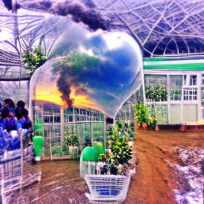 greenhouse effect