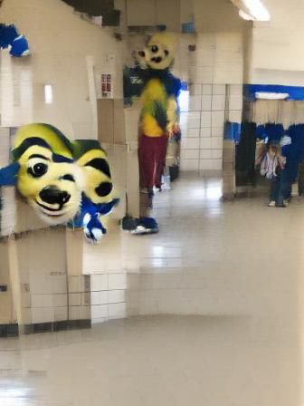 Cursed image of the high school mascott