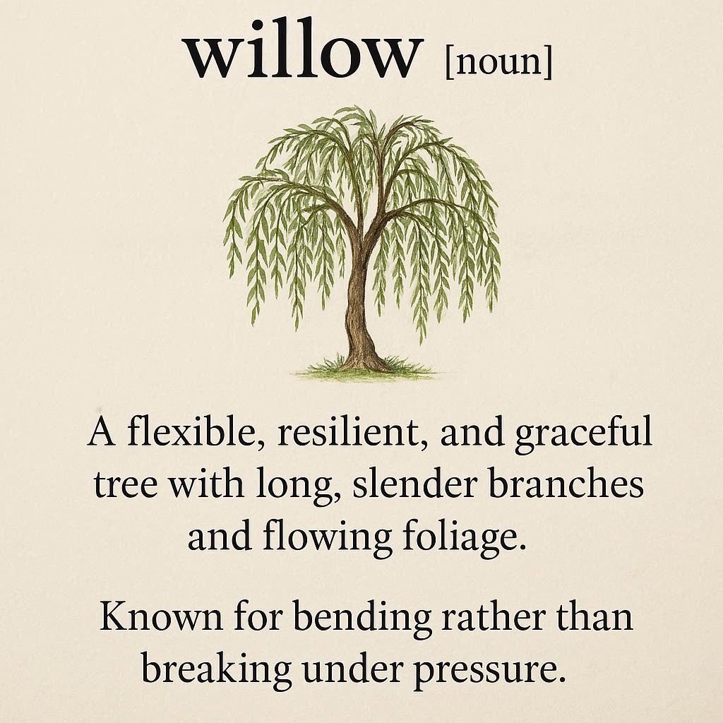 Willow