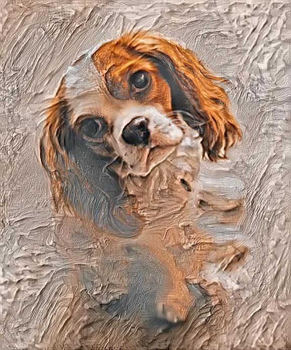 Painted Caviar King Charles Spaniel