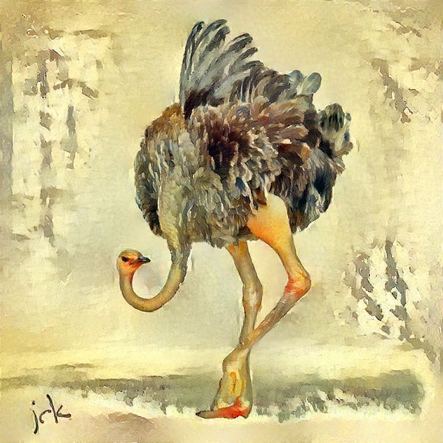 Ostrich