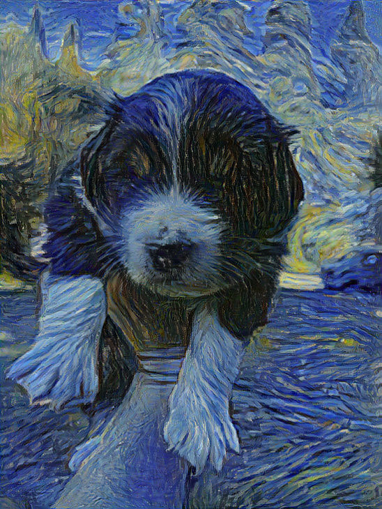 Australian Shepherd Puppy in Starry Night Style