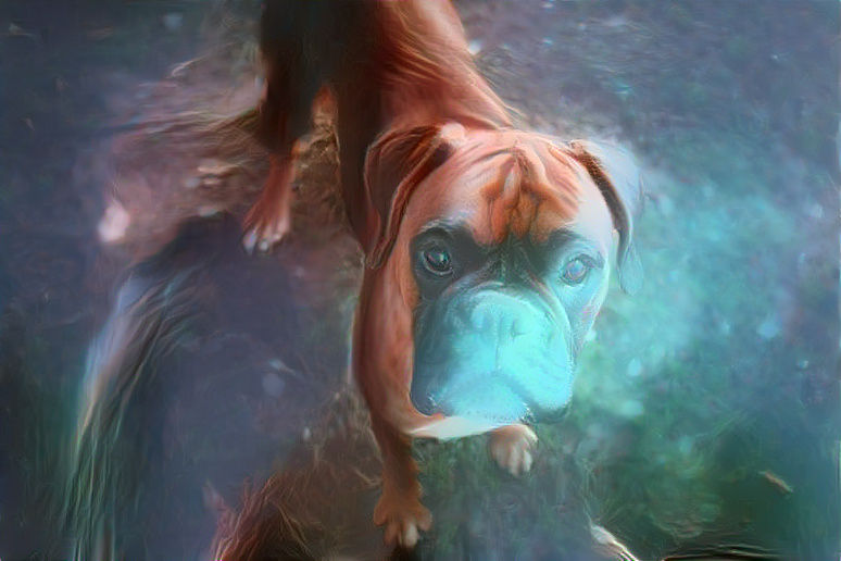 Styled Boxer