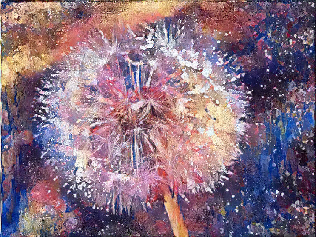 Make a wish