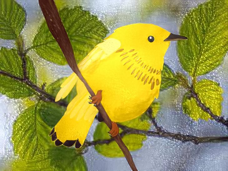 A Yellowfinch Doesn’t Exist - Goldfinch 
