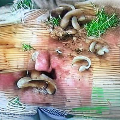 farmer maggot in russia angry about his mushrooms