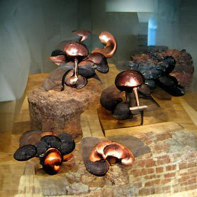 mushrooms forged from iron, bronze, and copper
