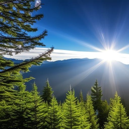 Forest Sunrise