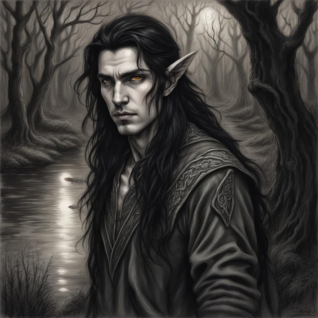 Male elf, pointy ears, long flowing black hair, amber eyes, fair ...