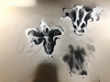 Shapes