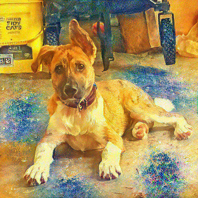 We Need To Talk. If Only You Understood Me.⁴