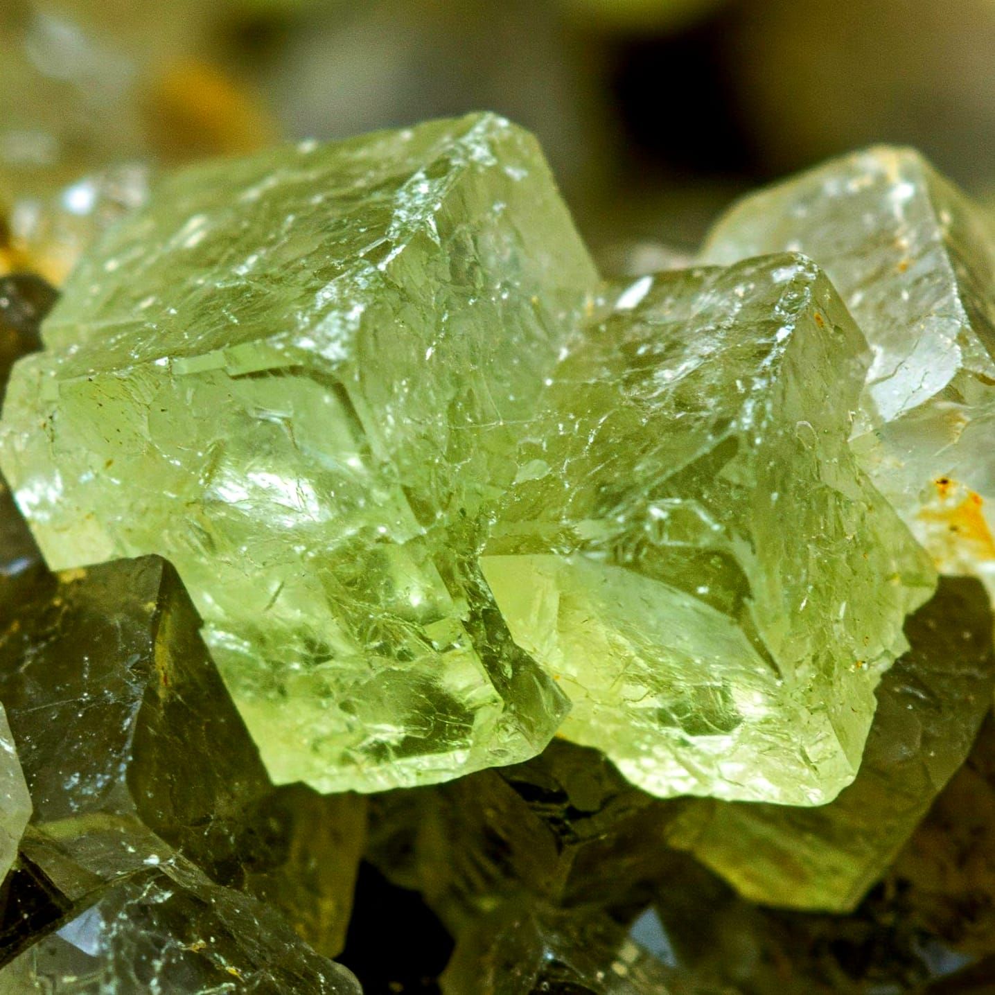 Apophyllite Crystals