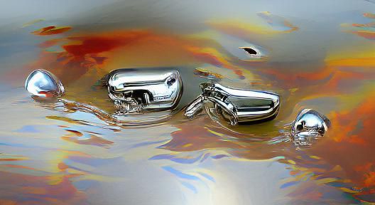 Silver in the swamp
