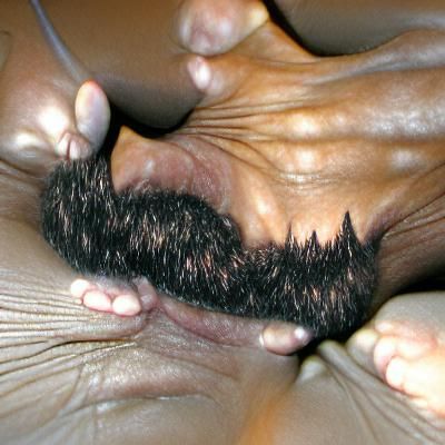 Dominant Mo