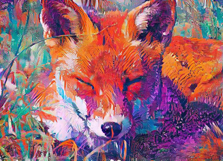 fox#6