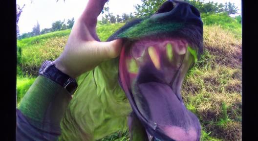 grass green rain rainbow