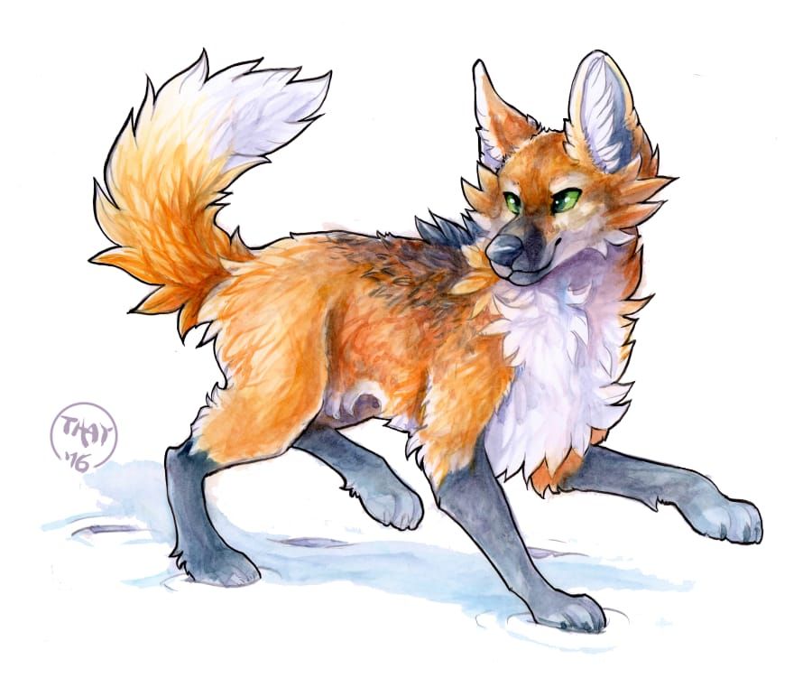 cute little fox