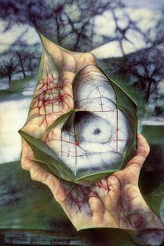 A Gaping Mathematical Wound no.135
