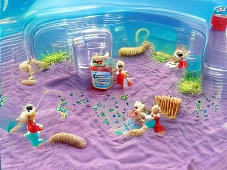 the sea monkeys go on a picnic