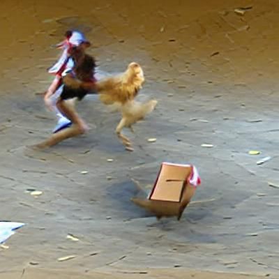 box with leg chasing a chicken ridden  by a human