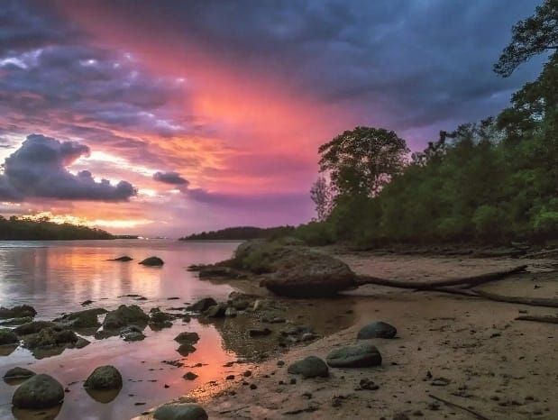 Twilights 👍👍🔥