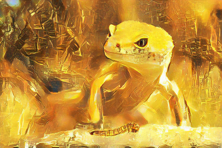 golden gecko 