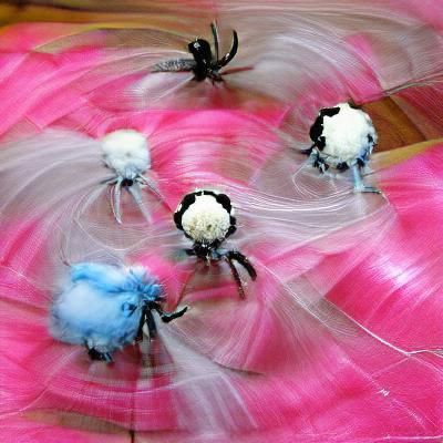 Spiders spinning cottoncandy