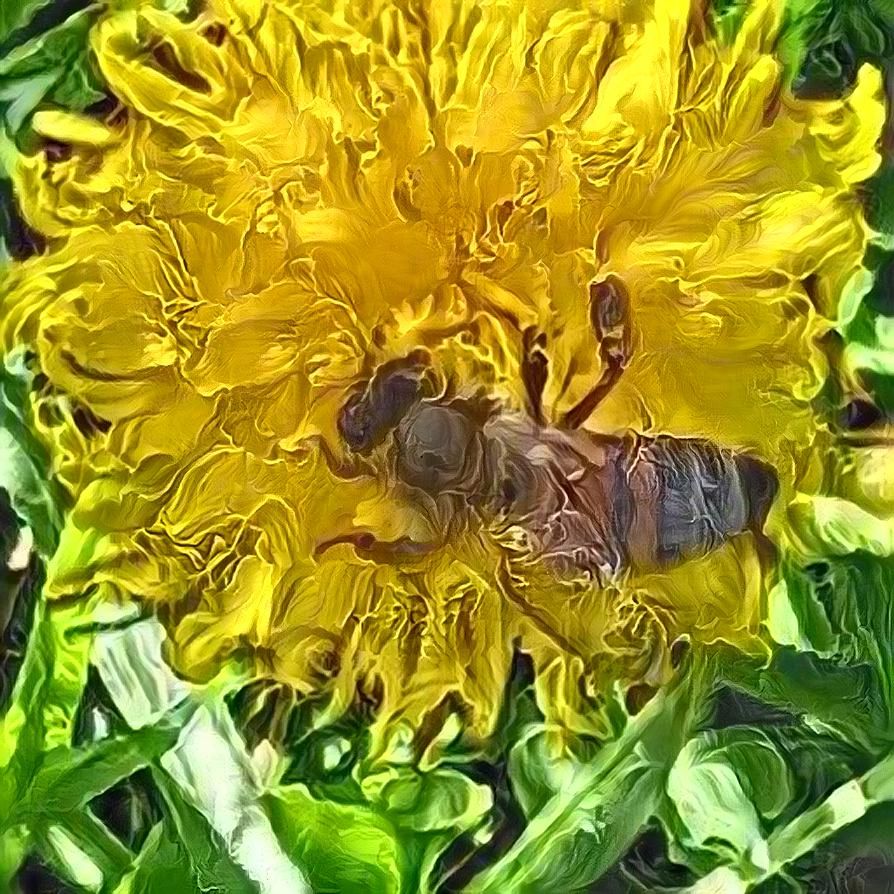 bee pollenating