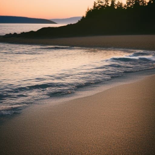 The beach in Washington state