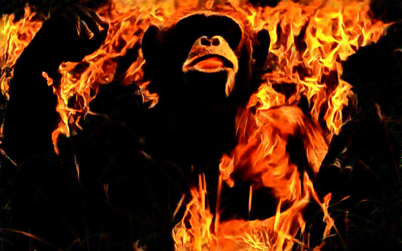 Flaming monkey
