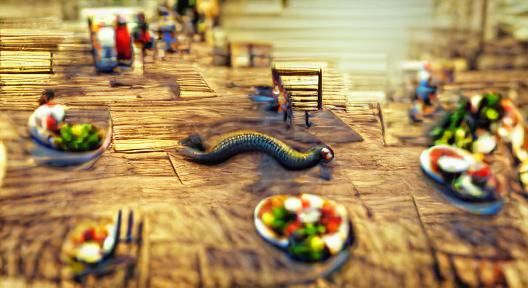 dinnertime with the snake people