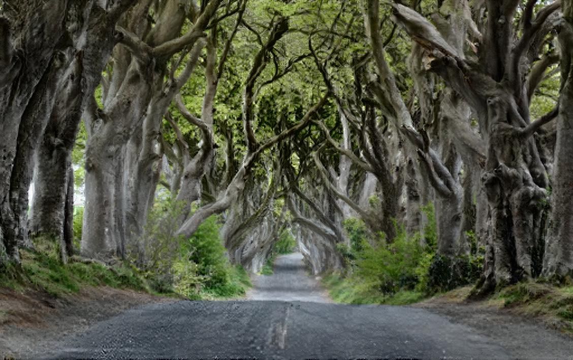 The Dark Hedges