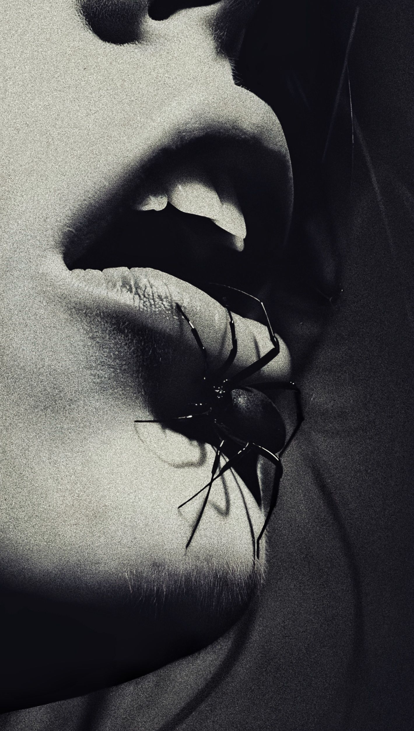 𝕊ℙ𝕀𝔻ℝ𝕆𝕀ℕ