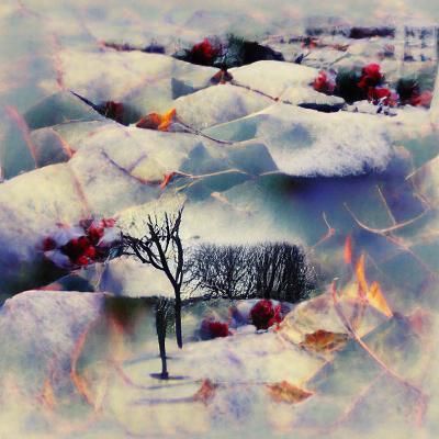 Remorseless Winter