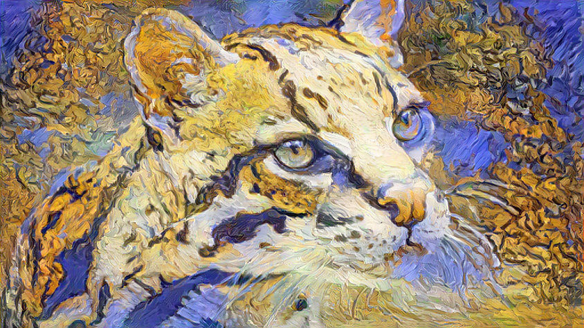 Colorful Ocelot