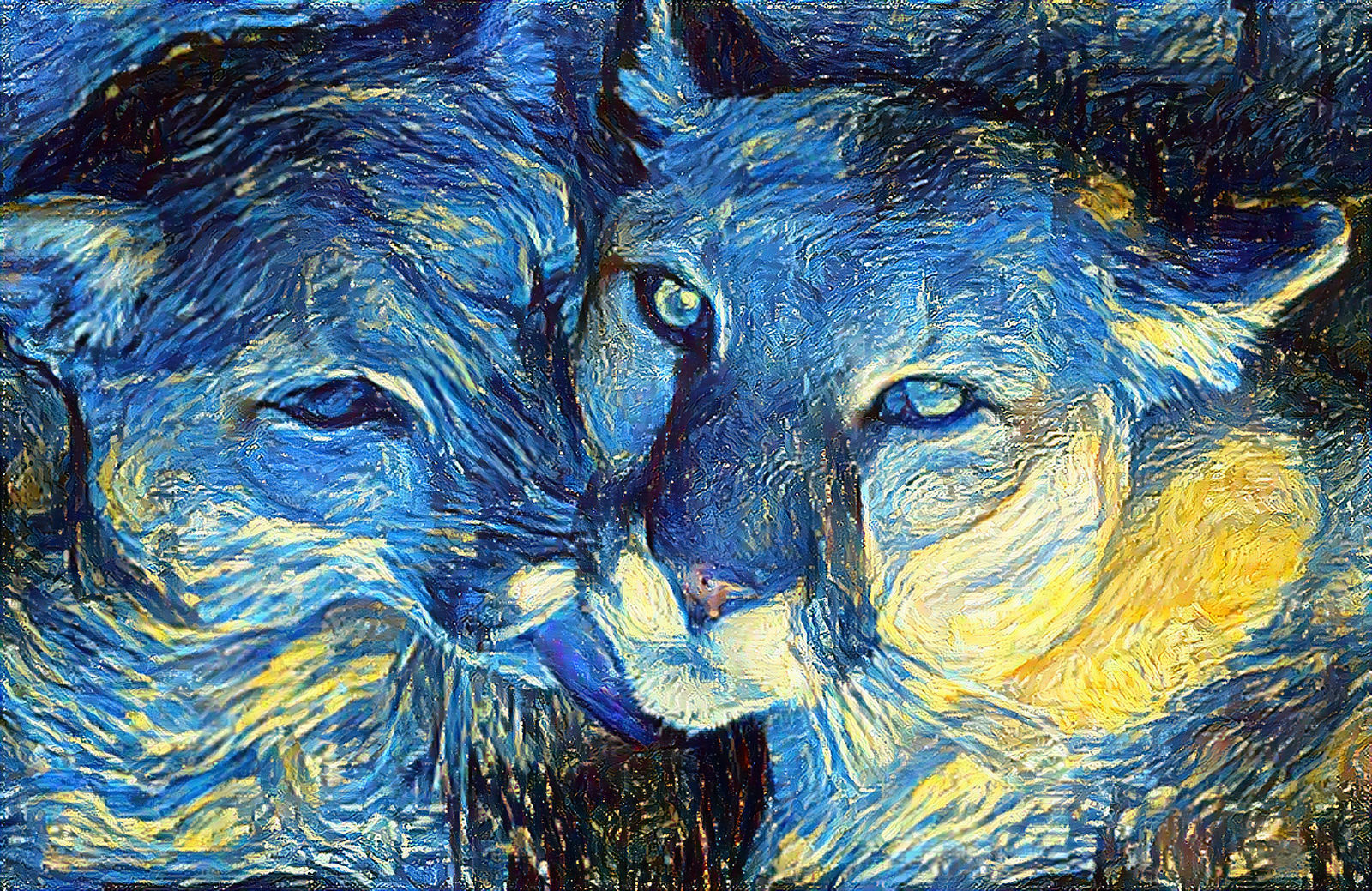 Remembering Zena and Zoey ❤