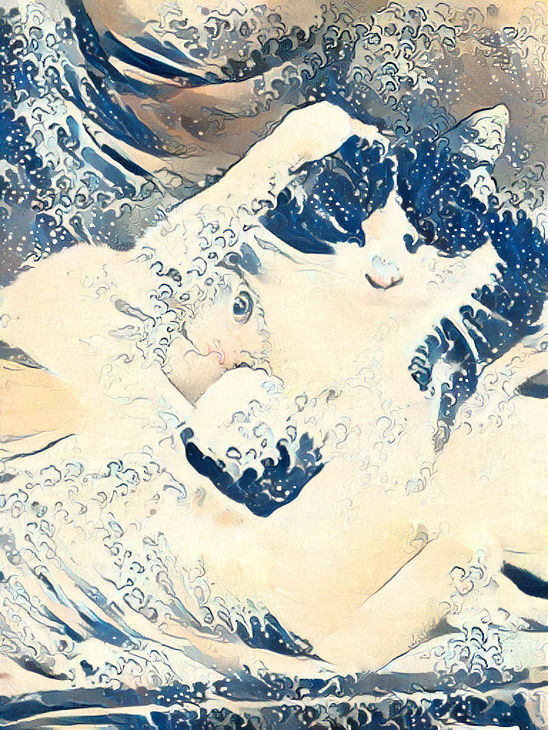 Cat demons in the water