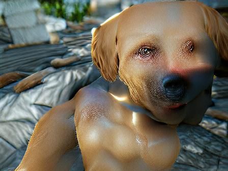 A good boy