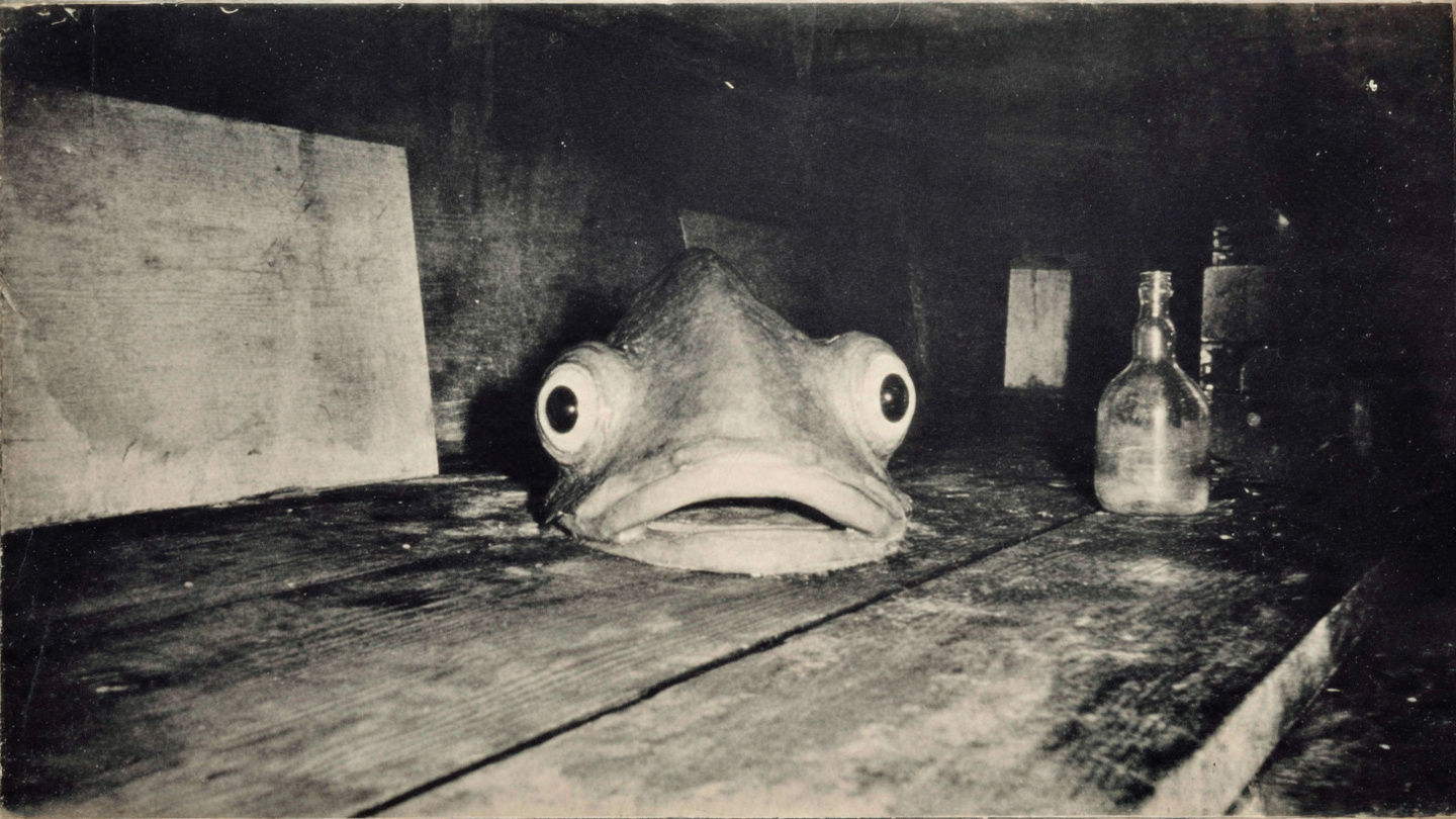 Attic Fish